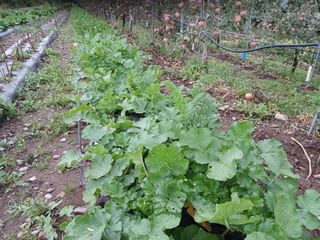 알 수 없음님의 우리동네 · 동네수다 작성글 사진