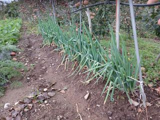 알 수 없음님의 우리동네 · 동네수다 작성글 사진