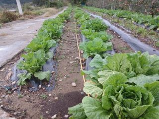 알 수 없음님의 우리동네 · 동네수다 작성글 사진