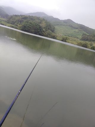 이현상님의 자유주제 · 자유게시판 작성글 사진