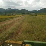 팜모닝 기타작물·영농일지 게시글 이미지