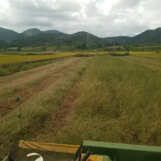 이행옥님의 기타작물 · 영농일지 작성글 사진