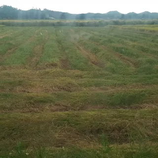 이행옥님의 기타작물 · 영농일지 작성글 사진