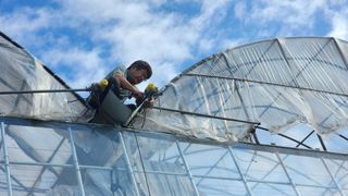 늘햇살팜 님의 기타작물 · 영농일지 작성글 사진