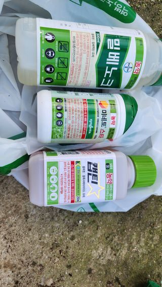 늘햇살팜 님의 기타작물 · 영농일지 작성글 사진