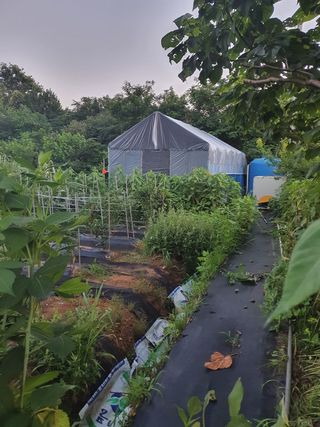 와룡농원님의 사과 · 일상 작성글 사진