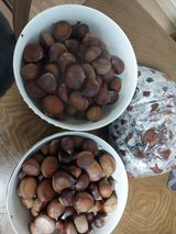 팜모닝 자유주제·자유게시판 게시글 이미지