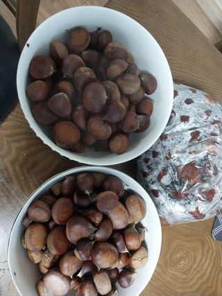 철남 김희곤님의 자유주제 · 자유게시판 작성글 사진