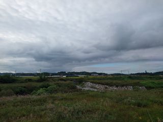 철남 김희곤님의 자유주제 · 자유게시판 작성글 사진