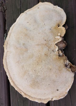 철남 김희곤님의 자유주제 · 자유게시판 작성글 사진