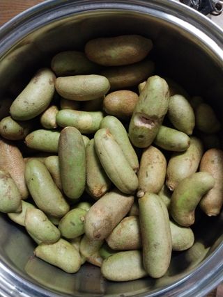 철남 김희곤님의 자유주제 · 자유게시판 작성글 사진