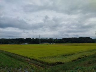 철남 김희곤님의 자유주제 · 자유게시판 작성글 사진