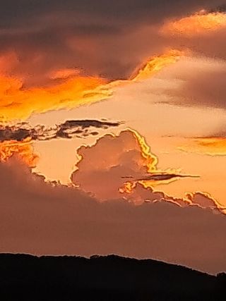 규수김님의 ↑ 윷놀이 하고 추석덕담 하기 · 참여글 작성글 사진