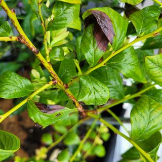 이은정님의 작성글 사진