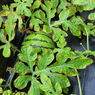 이은정님의 작성글 사진