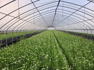 조일현님의 작성글 사진