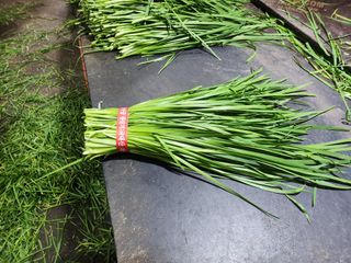 조일현님의 작성글 사진