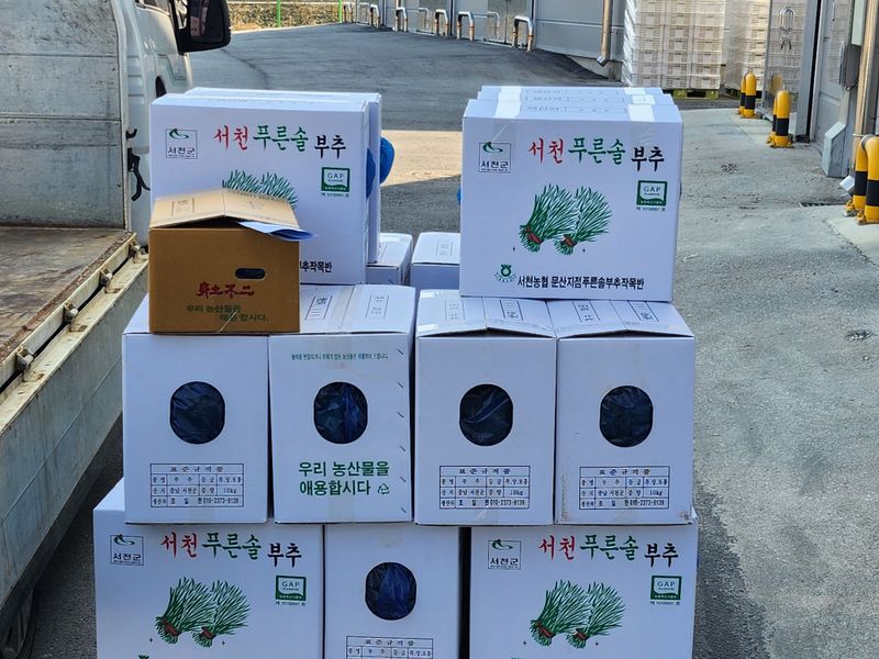 조일현님의 장터 판매 상품 [부추5kg] 첨부 사진