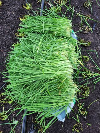 조일현님의 작성글 사진