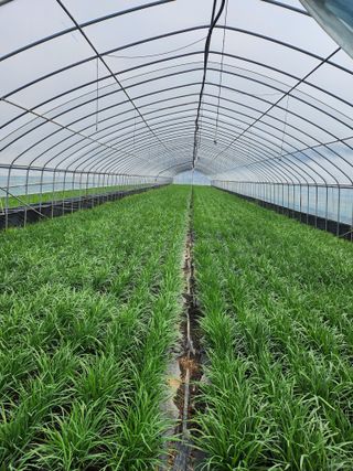 조일현님의 작성글 사진