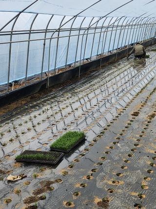 조일현님의 작성글 사진