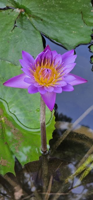 달방구님의 자유주제 · 자유게시판 작성글 사진