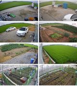 팜모닝 · 게시글 이미지