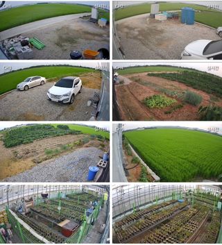 청암농원님의 작성글 사진