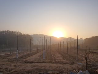 농업법인지매력님의 기타작물 · 병해충상담 작성글 사진