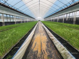 고리라님의 양파 · 자유게시판 작성글 사진