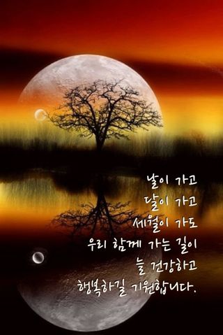 (팽나무*공주)님의 자유주제 · 자유게시판 작성글 사진