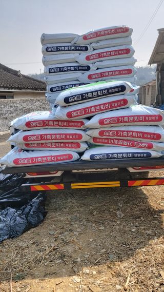 김진오님의 마늘 · 병해충상담 작성글 사진