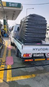 팜모닝 마늘·병해충상담 게시글 이미지