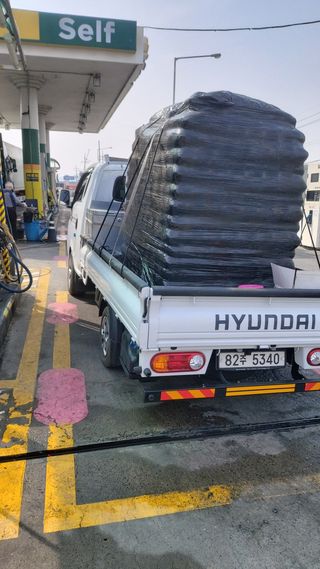 김진오님의 마늘 · 병해충상담 작성글 사진