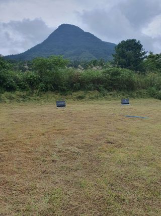 김영복님의 자유주제 · 자유게시판 작성글 사진