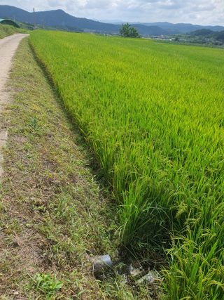 김영복님의 자유주제 · 자유게시판 작성글 사진