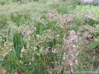 유병욱님의 기타작물 · 자유게시판 작성글 사진