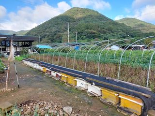 유병욱님의 기타작물 · 자유게시판 작성글 사진