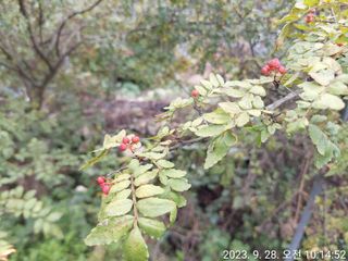 유병욱님의 기타작물 · 자유게시판 작성글 사진