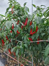 팜모닝 자유주제·사진전 게시글 이미지