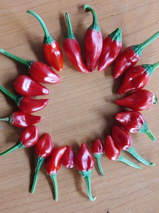 안길원님의 자유주제 · 사진전 작성글 사진