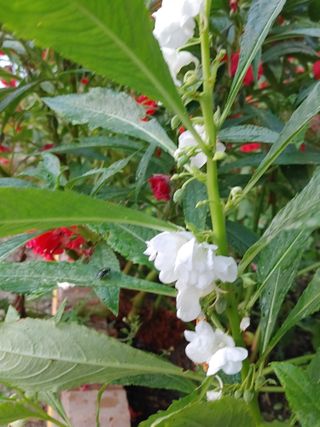 안길원님의 자유주제 · 사진전 작성글 사진