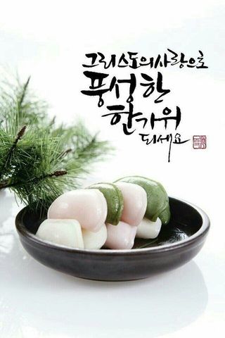 울금박사[빈덕열]님의 자유주제 · 자유게시판 작성글 사진