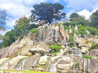 울금박사[빈덕열]님의 자유주제 · 자유게시판 작성글 사진