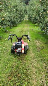 팜모닝 사과·제초 게시글 이미지