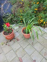 팜모닝 자유주제·자유게시판 게시글 이미지