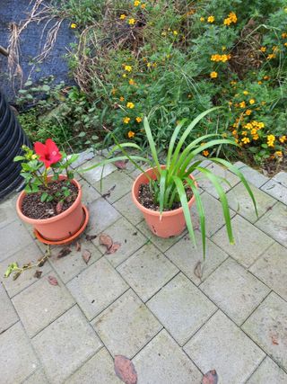 성낙신 님의 자유주제 · 자유게시판 작성글 사진