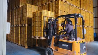 형설농원 정순정님의 배 · 수확 작성글 사진