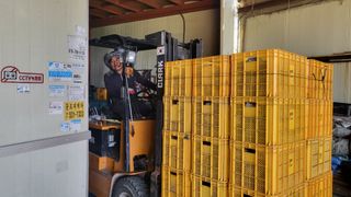 형설농원 정순정님의 배 · 수확 작성글 사진