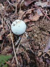 팜모닝 자유주제·자유게시판 게시글 이미지